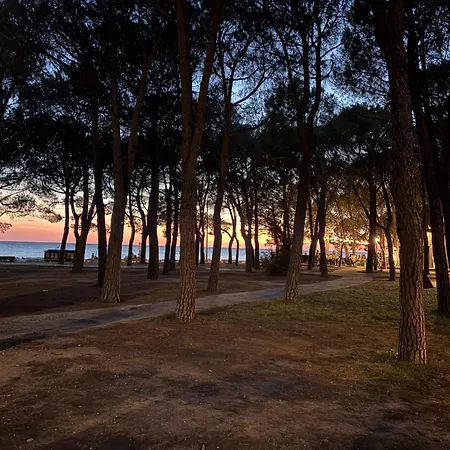 Il Giardino Nascosto Appartement Triëst