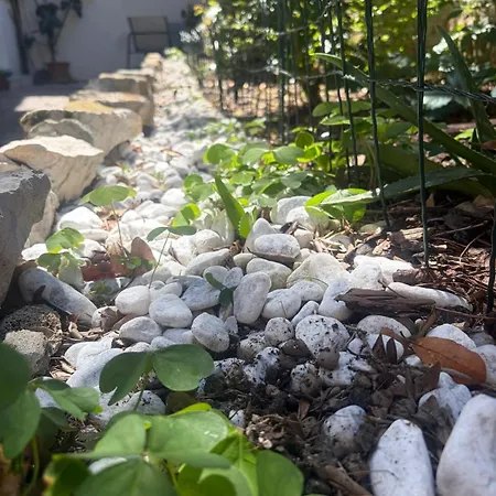 Appartamento Il Giardino Nascosto Trieste