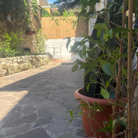 Il Giardino Nascosto Appartamento *